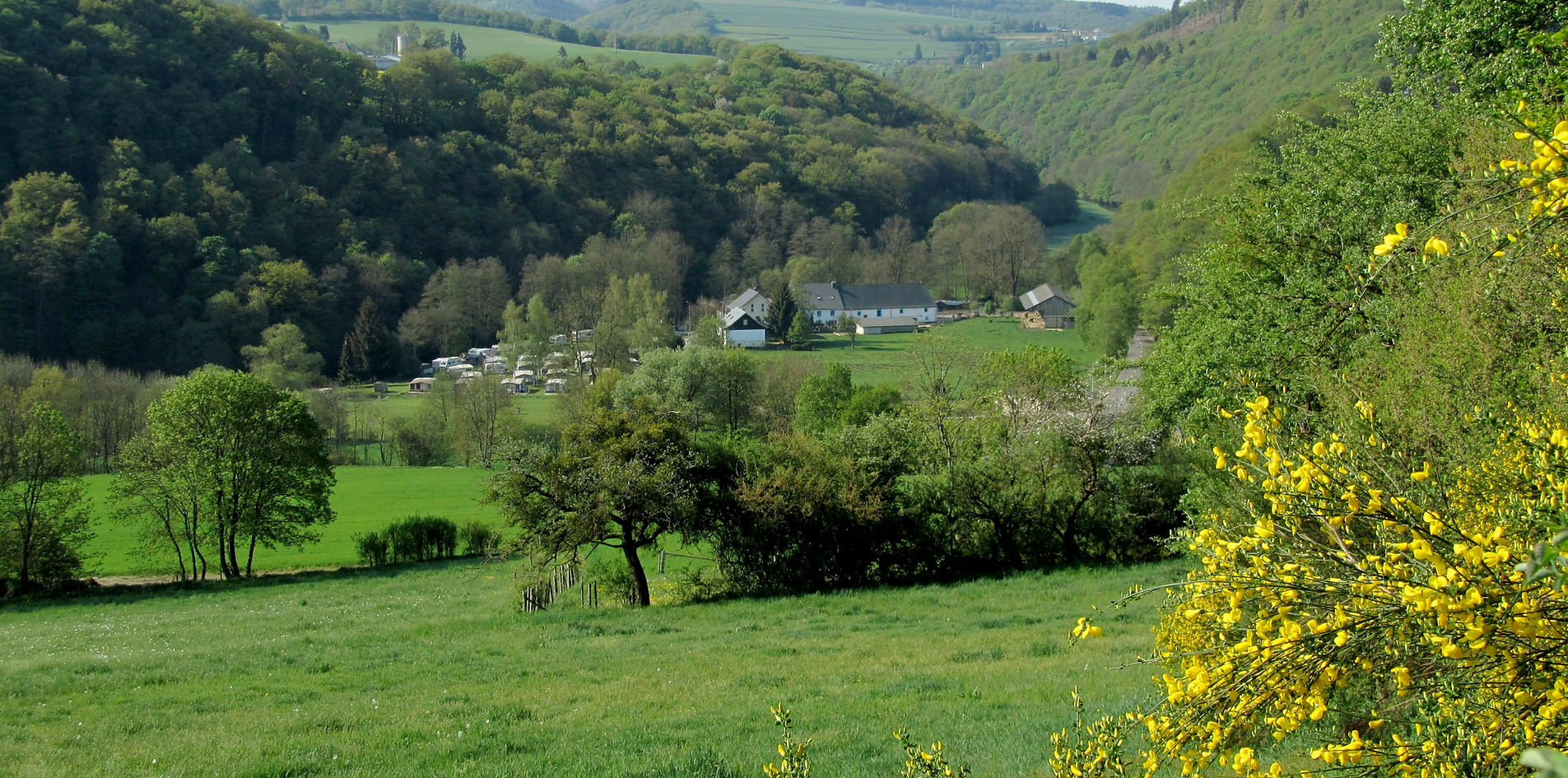 Camping Berkel — photo 4